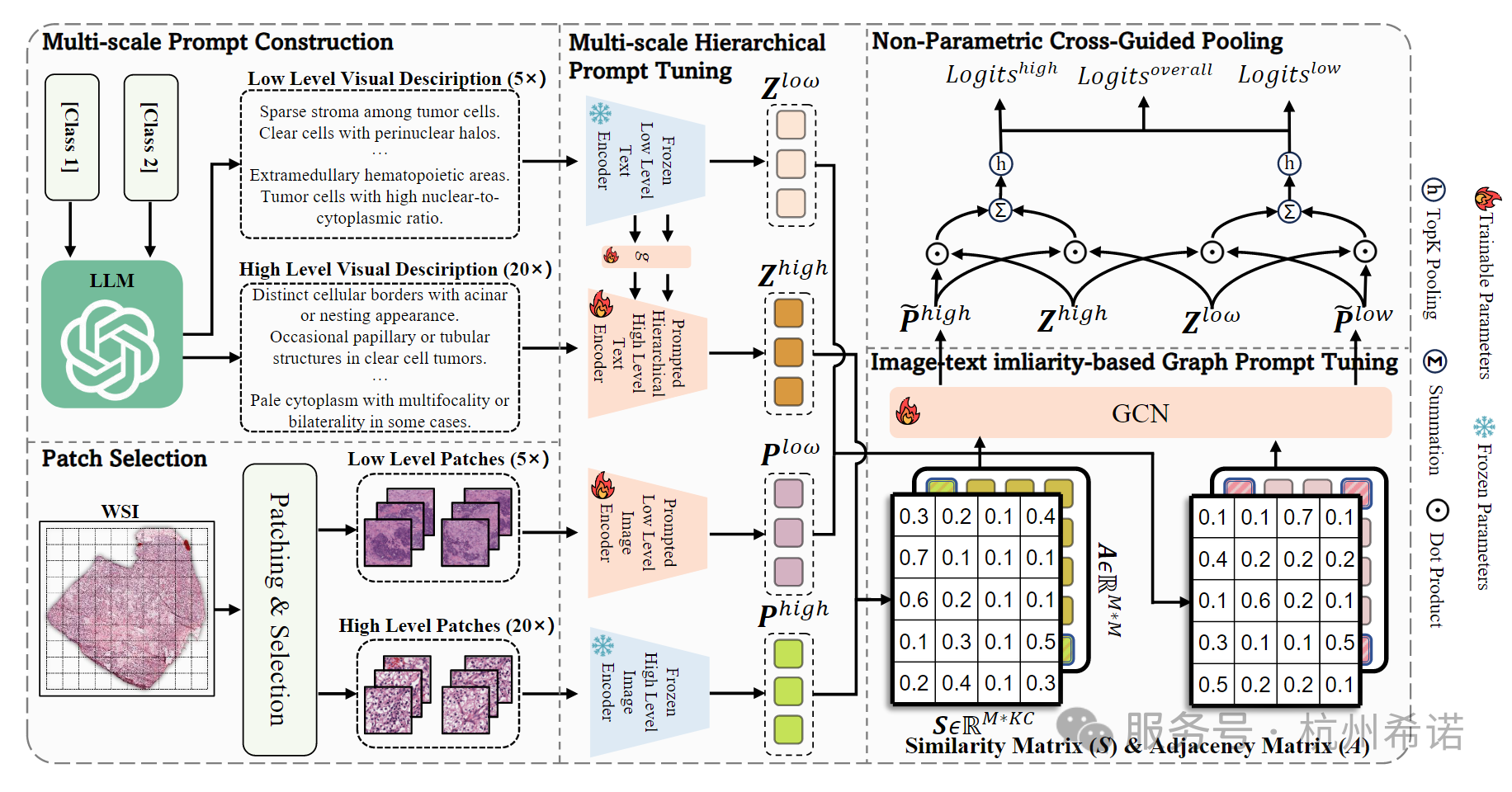 文献速递 |多尺度与上下文感知的提示调优技术（MSCPT）助力学习WSI关键上下文信息
